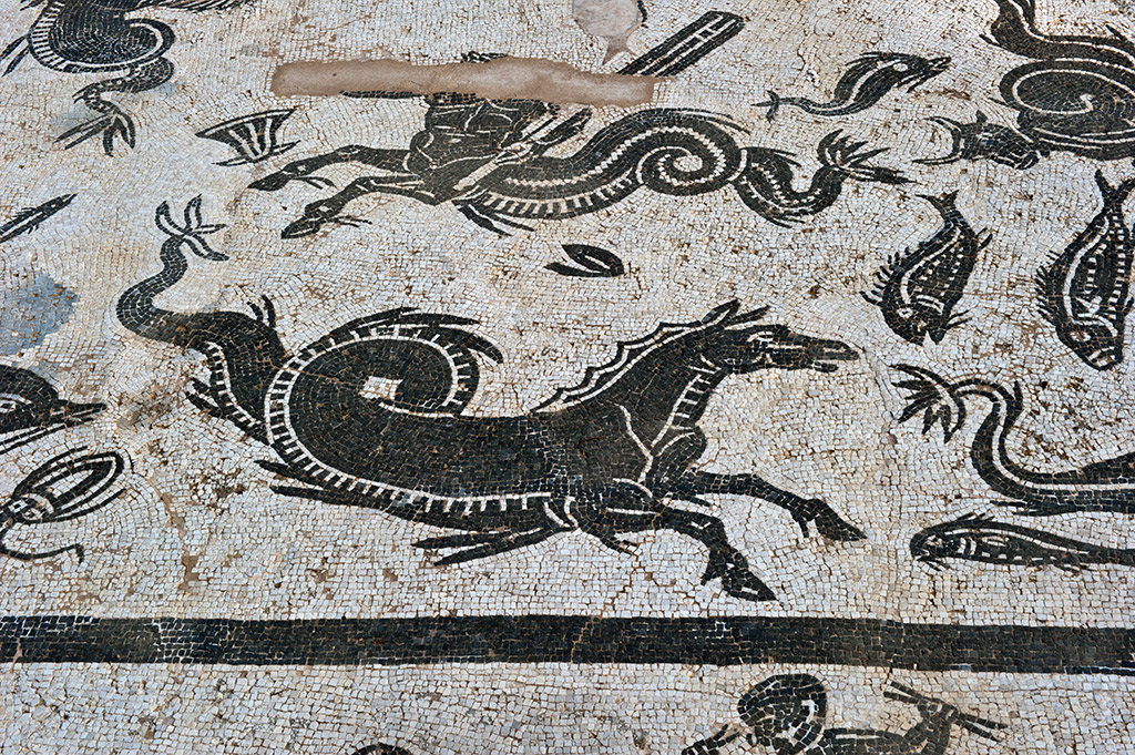 La mosaïque présente le dieu Neptune et son cortège de créatures marines, tout en noir et blanc, en dehors de la forme polychrome du dieu. Neptune est représenté avec un trident, conduisant un char tiré par des hippocampes ; à côté de lui se trouvent des centaures, un bélier, un taureau et d’autres animaux terrestres.