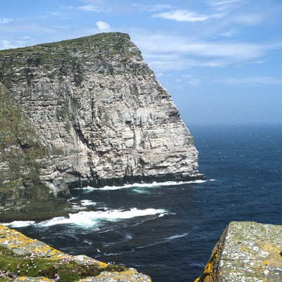 Île de Noss ou se trouve The Noup, le sommet d'une falaise de 180 mètres de hauteur où tournoient des milliers de fous de Bassan