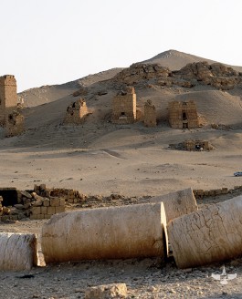 Palmyre : destruction de trois tours funéraires de la nécropole.