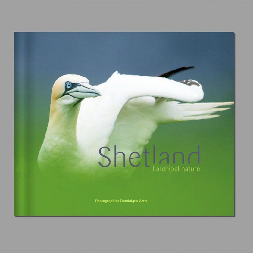 À découvrir  : mon livre sur les oiseaux des îles Shetland