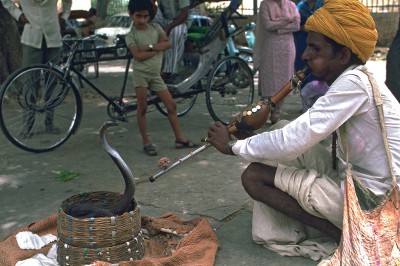 Scène de rue, charmeur de serpent  Jaipur - Inde 1985
