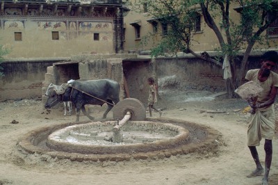 Nawalgarh  province du Shekawati - Rajasthan - Inde 1985