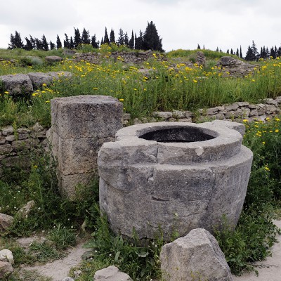 La cité d'Ougarit (Ras Shamra) : ruines d’un quartier d’habitations - cuve géante en pierre - “nombril du monde”