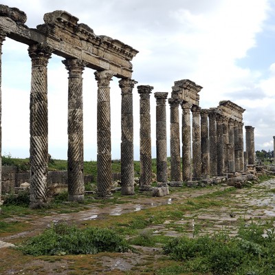  Apamée, section centrale de la grande colonnade, colonnes à cannelures torses.