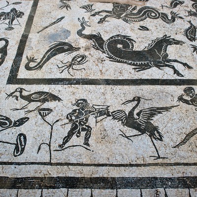La mosaïque présente le dieu Neptune et son cortège de créatures marines, tout en noir et blanc, en dehors de la forme polychrome du dieu. Neptune est représenté avec un trident, conduisant un char tiré par des hippocampes ; à côté de lui se trouvent des centaures, un bélier, un taureau et d’autres animaux terrestres.
