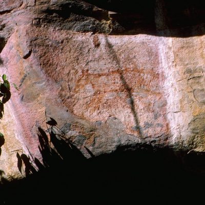 Dessin d'un Thylacine, sorte de loup marsupial zébré disparu depuis plus de 5000 ans, qui permet de penser que cette peinture et les précédentes datent environ de cette période là.