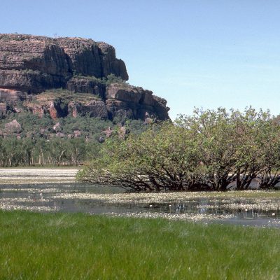 Ubirr Rock  l’un des plus grandes sites sacrés aborigènes. En savoir plus sur 