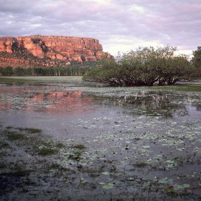 Ubirr Rock  l’un des plus grandes sites sacrés aborigènes. En savoir plus sur 