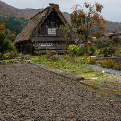 Le village est célèbre pour ses fermes, qui sont construites dans un style architectural unique connu sous le nom gasshō-zukuri. Le nom signifie «construction en mains jointes», comme pour une prière, se référant aux toits pentus qui empêchent la neige de s'y accumuler l'hiver. Sous les toits, le grand espace de grenier était utilisé pour héberger des vers à soie.