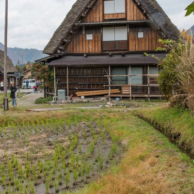 Le village est célèbre pour ses fermes, qui sont construites dans un style architectural unique connu sous le nom gasshō-zukuri. Le nom signifie «construction en mains jointes», comme pour une prière, se référant aux toits pentus qui empêchent la neige de s'y accumuler l'hiver. Sous les toits, le grand espace de grenier était utilisé pour héberger des vers à soie.