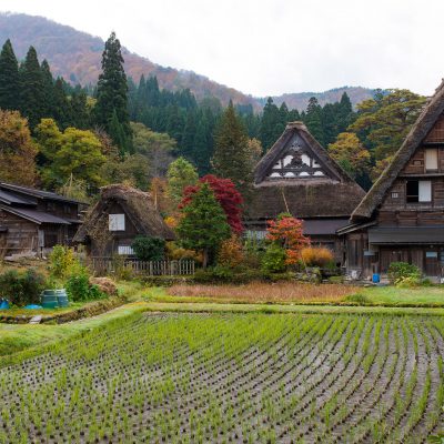 Le village est célèbre pour ses fermes, qui sont construites dans un style architectural unique connu sous le nom gasshō-zukuri. Le nom signifie «construction en mains jointes», comme pour une prière, se référant aux toits pentus qui empêchent la neige de s'y accumuler l'hiver. Sous les toits, le grand espace de grenier était utilisé pour héberger des vers à soie.