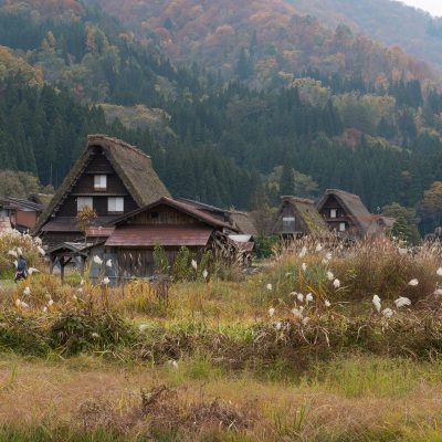 Le village est célèbre pour ses fermes, qui sont construites dans un style architectural unique connu sous le nom gasshō-zukuri. Le nom signifie «construction en mains jointes», comme pour une prière, se référant aux toits pentus qui empêchent la neige de s'y accumuler l'hiver. Sous les toits, le grand espace de grenier était utilisé pour héberger des vers à soie.