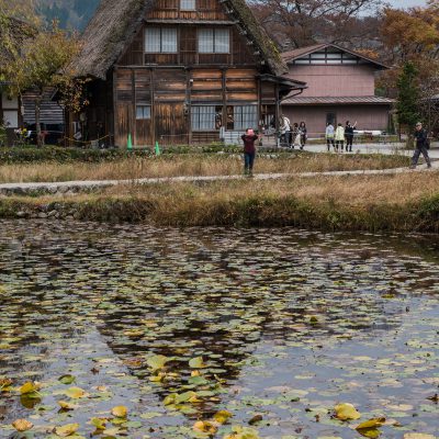 Situés dans une région montagneuse longtemps isolée, ces villages aux maisons de style gassho tiraient leur subsistance de la culture du mûrier et de l'élevage du ver à soie. Leurs grandes maisons au toit de chaume à double pente très accentuée sont uniques au Japon. Malgré les bouleversements économiques, les villages d'Ogimachi, d'Ainokura et de Suganuma demeurent des témoins exceptionnels de la parfaite adaptation de la vie traditionnelle à son environnement et à sa fonction sociale.