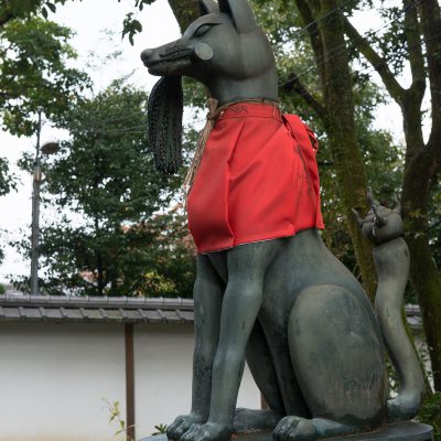 Le temple Fushimi Inari-taisha. Des statues de renards sont souvent offertes aux sanctuaires Inari par les fidèles, et à l’occasion un renard en peluche est remis à un temple. À un moment donné, certains temples hébergeaient des renards vivants qui étaient vénérés, mais cette pratique n’est pas courante10. Il y a au Toyokawa Inari un panneau indiquant que des renards étaient entretenus au temple dans les années 1920.