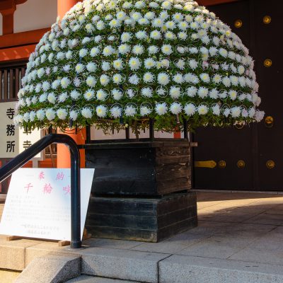 Le temple Senso-ji