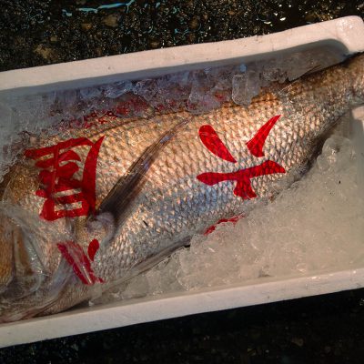 Tsukiji le marché aux poissons