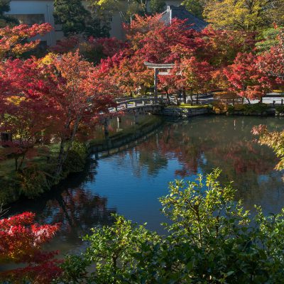 Le jardin et le pont Hojo-ike - temple Eikando Zenrin-ji