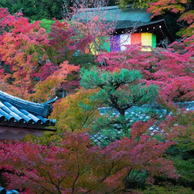 Le temple Eikando Zenrin-ji Parfaitement intégrés au cadre naturel qui les entoure, les édifices se dressent à différents niveaux et sont reliés par un jeu de passerelles et de ponts surélevés.