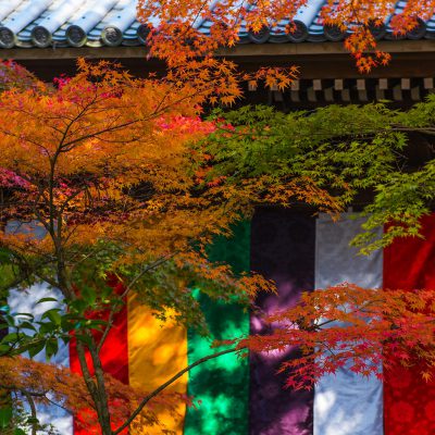 Le Eikandō Zenrin-ji est le premier temple de la branche seizan de la secte japonaise bouddhiste Jōdo-shū, situé dans l'arrondissement de Sakyō-ku à Kyoto.