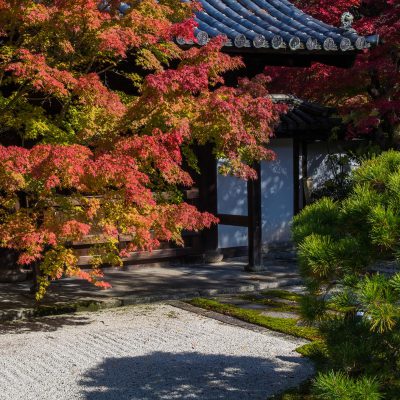 Tenjuan est remarquable en ceci que ses deux jardins, l’un de rocaille et l’autre agrémenté d’une mare, sont particulièrement agréables à regarder en automne quand ils sont illuminés dans la soirée. Les couleurs automnales sont généralement les plus belles au cours des deux dernières semaines de novembre.