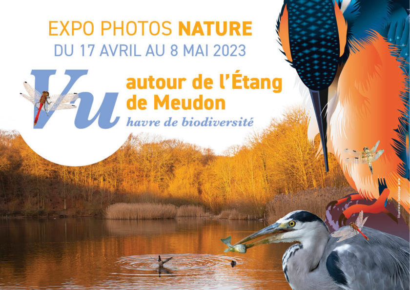 Exposition photo en forêt domaniale de Meudon