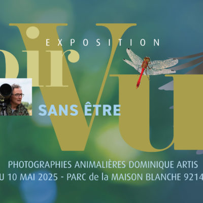 Galerie Accueilhttps://dominiqueartis.fr/border_galleries/galerie-accueil/