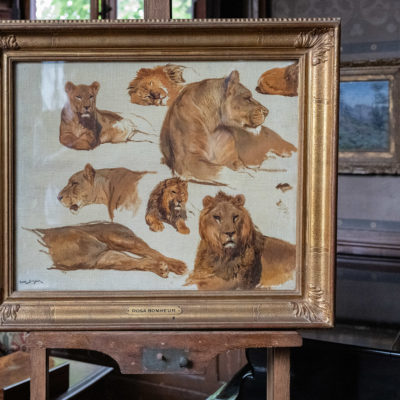 Études de lions et lionnes - Rosa Bonheur 
