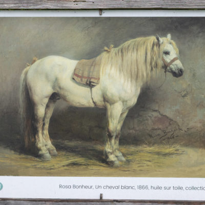 Rosa Bonheur dans son atelier par Georges Achille-Fould (et Rosa Bonheur), 1893.