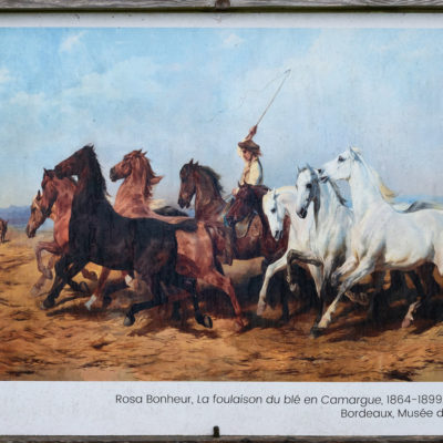 Rosa Bonheur dans son atelier par Georges Achille-Fould (et Rosa Bonheur), 1893.
