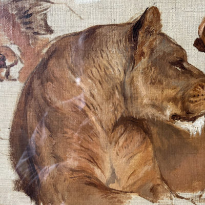 Études de lionnes - Rosa Bonheur 