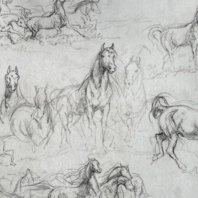 Esquisses de chevaux.