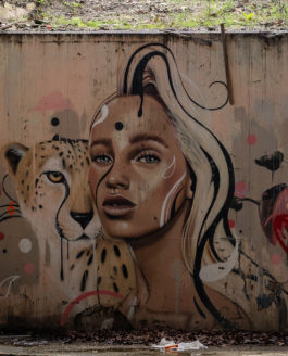 SPOT 13 : L’épicentre vibrant <br>du street-art